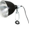 TRIXIE Terrarium Lamp Met Klem 21x21 Cm 250 W 76073 -Vis Product Winkel 9200000084954679