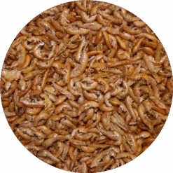 Pond Pro Pond Pro Gammarus 2,5 Liter Emmer