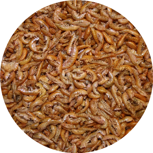 Pond Pro Pond Pro Gammarus 2,5 Liter Emmer 3 Pond Pro Pond Pro Gammarus 2,5 Liter Emmer