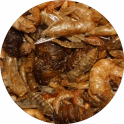 Pond Pro Pond Pro Natuur Mix 5 Liter Emmer