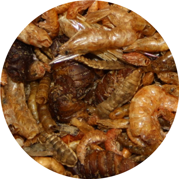 Pond Pro Pond Pro Natuur Mix 5 Liter Emmer 3 Pond Pro Pond Pro Natuur Mix 5 Liter Emmer