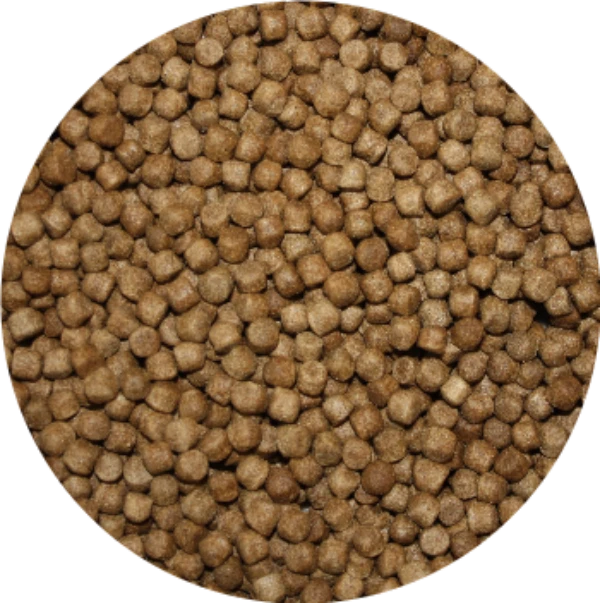 Pond Pro Pond Pellet Koivoer 3 Mm 15 Kg 3 Pond Pro Pond Pellet Koivoer 3 Mm 15 Kg