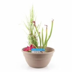 Mini Vijver Kunststof Taupe - 2 Stuks