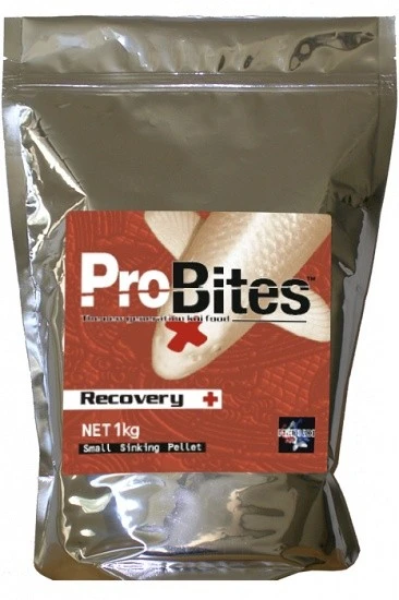 Probites Recovery 1 Kg 3 Probites Recovery 1 Kg