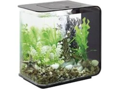 Oase 45910 Aquarium 15 L Met LED-verlichting