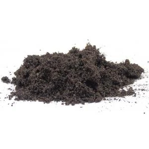 Waterlelie Aarde 3 Waterlelie Aarde